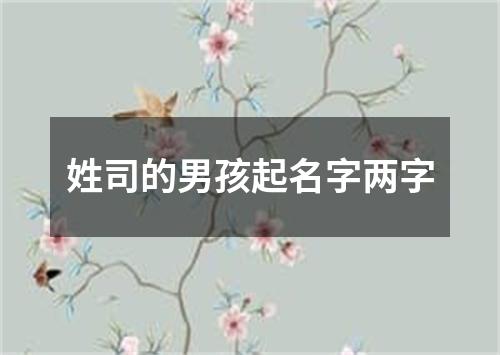 姓司的男孩起名字两字