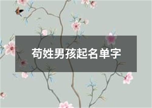 苟姓男孩起名单字