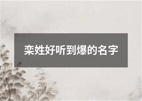 栾姓好听到爆的名字