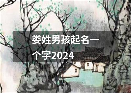 娄姓男孩起名一个字2024