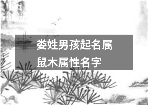 娄姓男孩起名属鼠木属性名字