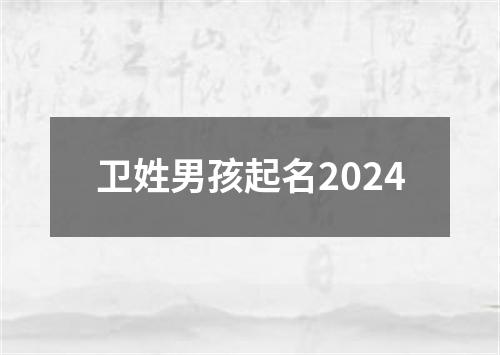 卫姓男孩起名2024