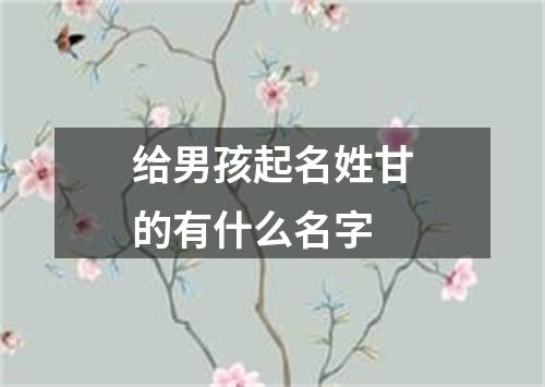 给男孩起名姓甘的有什么名字