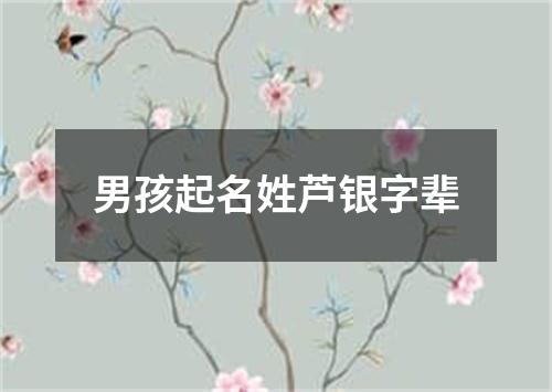 男孩起名姓芦银字辈