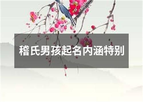 稽氏男孩起名内涵特别