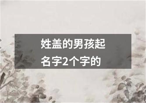 姓盖的男孩起名字2个字的