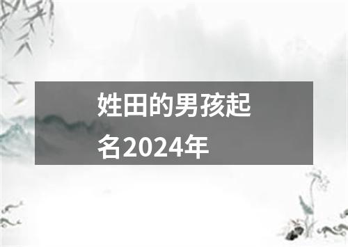 姓田的男孩起名2024年