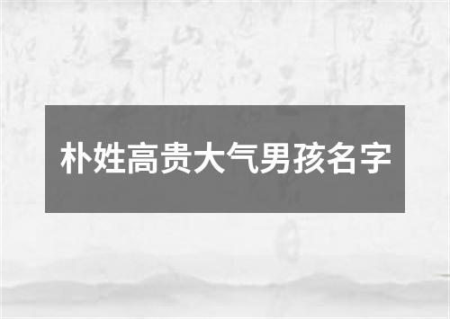 朴姓高贵大气男孩名字