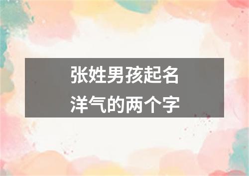 张姓男孩起名洋气的两个字