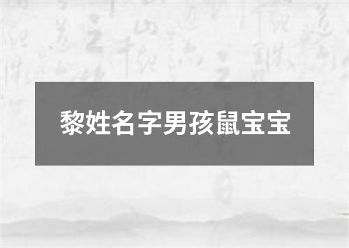 黎姓名字男孩鼠宝宝