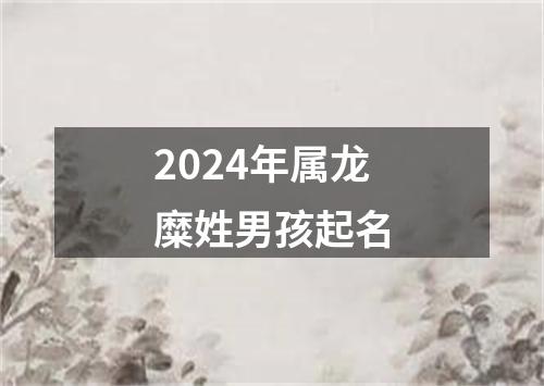 2024年属龙糜姓男孩起名