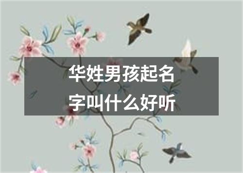 华姓男孩起名字叫什么好听