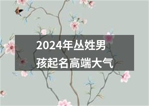 2024年丛姓男孩起名高端大气