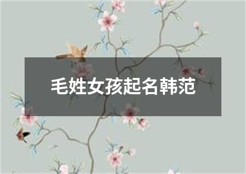 毛姓女孩起名韩范