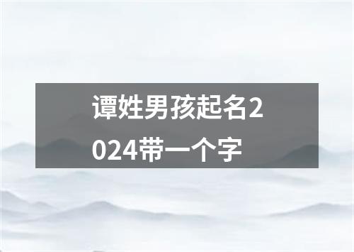 谭姓男孩起名2024带一个字