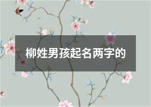 柳姓男孩起名两字的