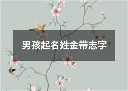 男孩起名姓金带志字