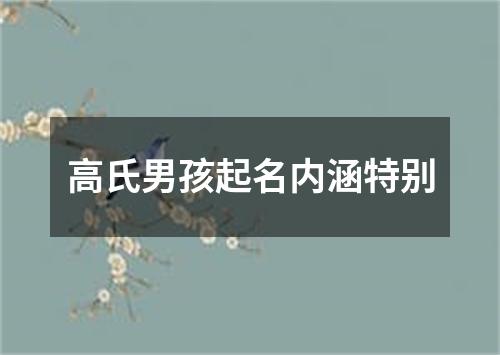 高氏男孩起名内涵特别