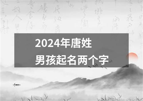 2024年唐姓男孩起名两个字