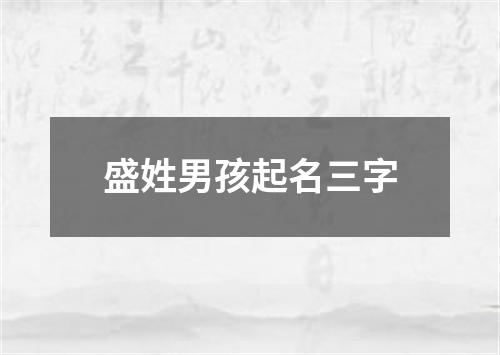 盛姓男孩起名三字