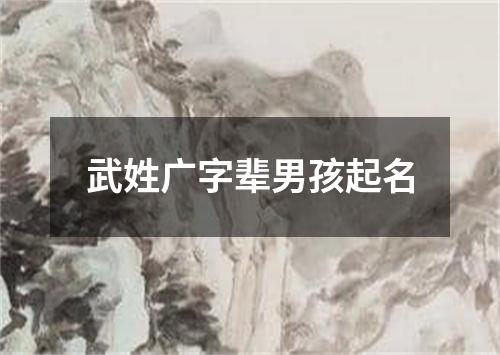 武姓广字辈男孩起名