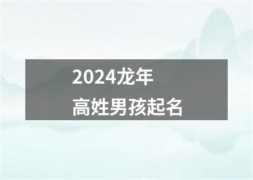 2024龙年高姓男孩起名