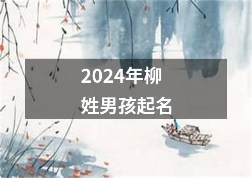 2024年柳姓男孩起名