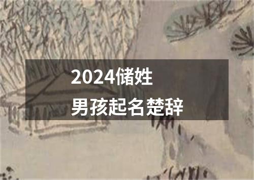 2024储姓男孩起名楚辞