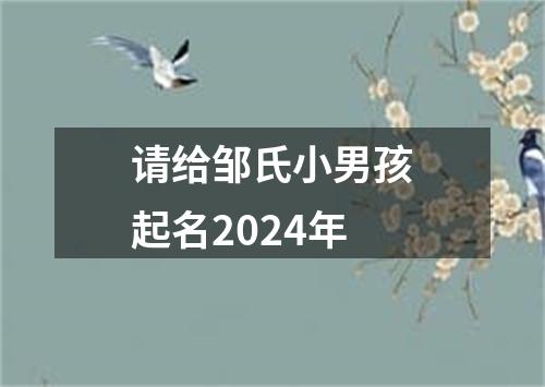 请给邹氏小男孩起名2024年