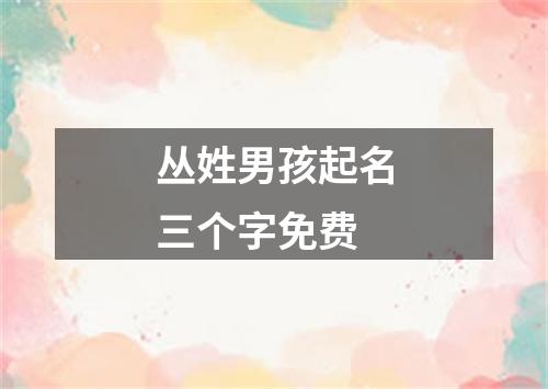 丛姓男孩起名三个字免费