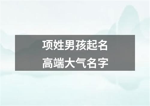 项姓男孩起名高端大气名字