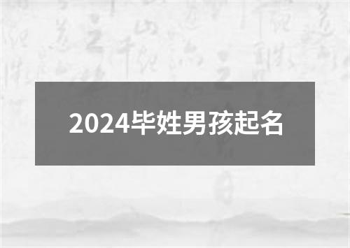 2024毕姓男孩起名