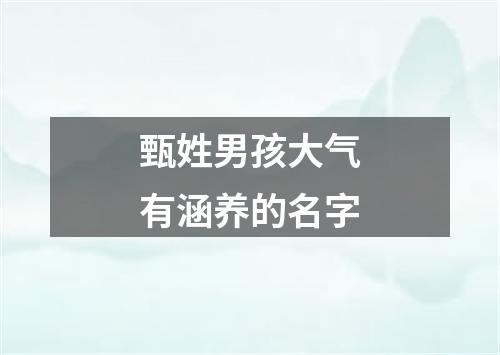 甄姓男孩大气有涵养的名字