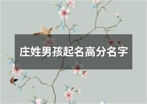 庄姓男孩起名高分名字