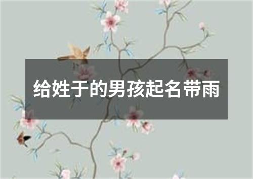 给姓于的男孩起名带雨