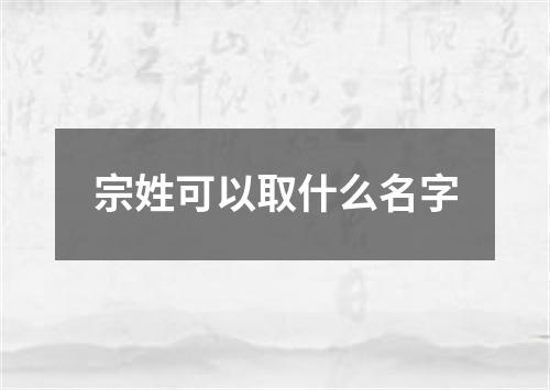 宗姓可以取什么名字