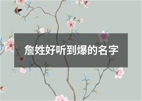 詹姓好听到爆的名字