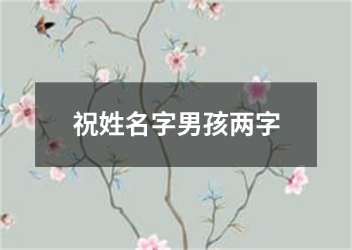 祝姓名字男孩两字