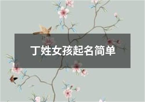 丁姓女孩起名简单