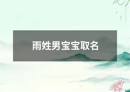 雨姓男宝宝取名