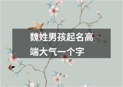 魏姓男孩起名高端大气一个字