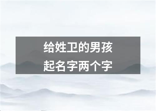 给姓卫的男孩起名字两个字