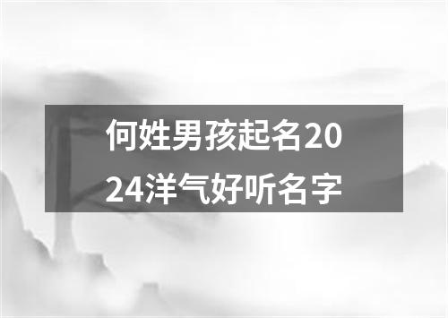 何姓男孩起名2024洋气好听名字