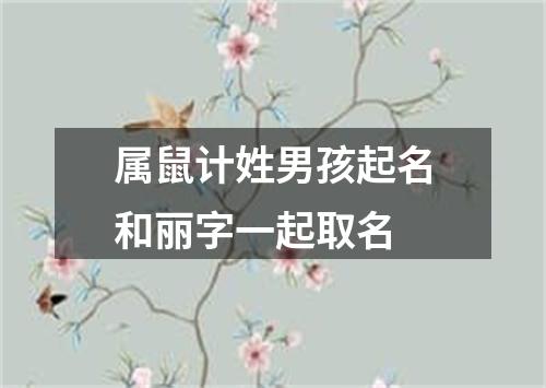 属鼠计姓男孩起名和丽字一起取名