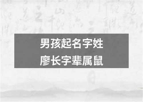 男孩起名字姓廖长字辈属鼠