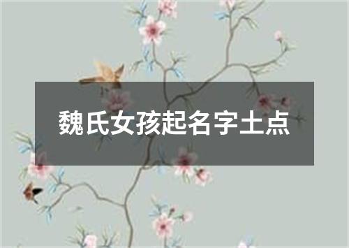 魏氏女孩起名字土点