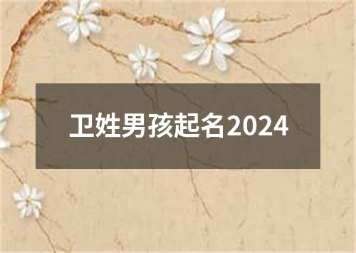 卫姓男孩起名2024