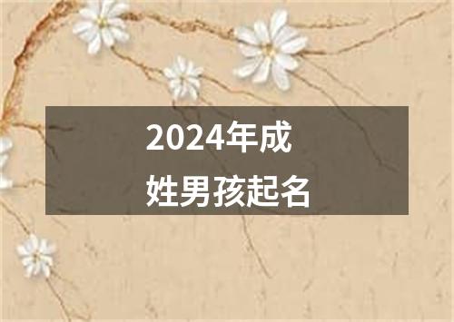 2024年成姓男孩起名