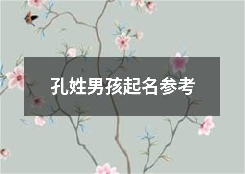 孔姓男孩起名参考