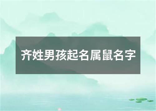 齐姓男孩起名属鼠名字